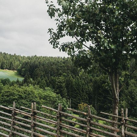 Hotel Muhr Pollauberg Экстерьер фото