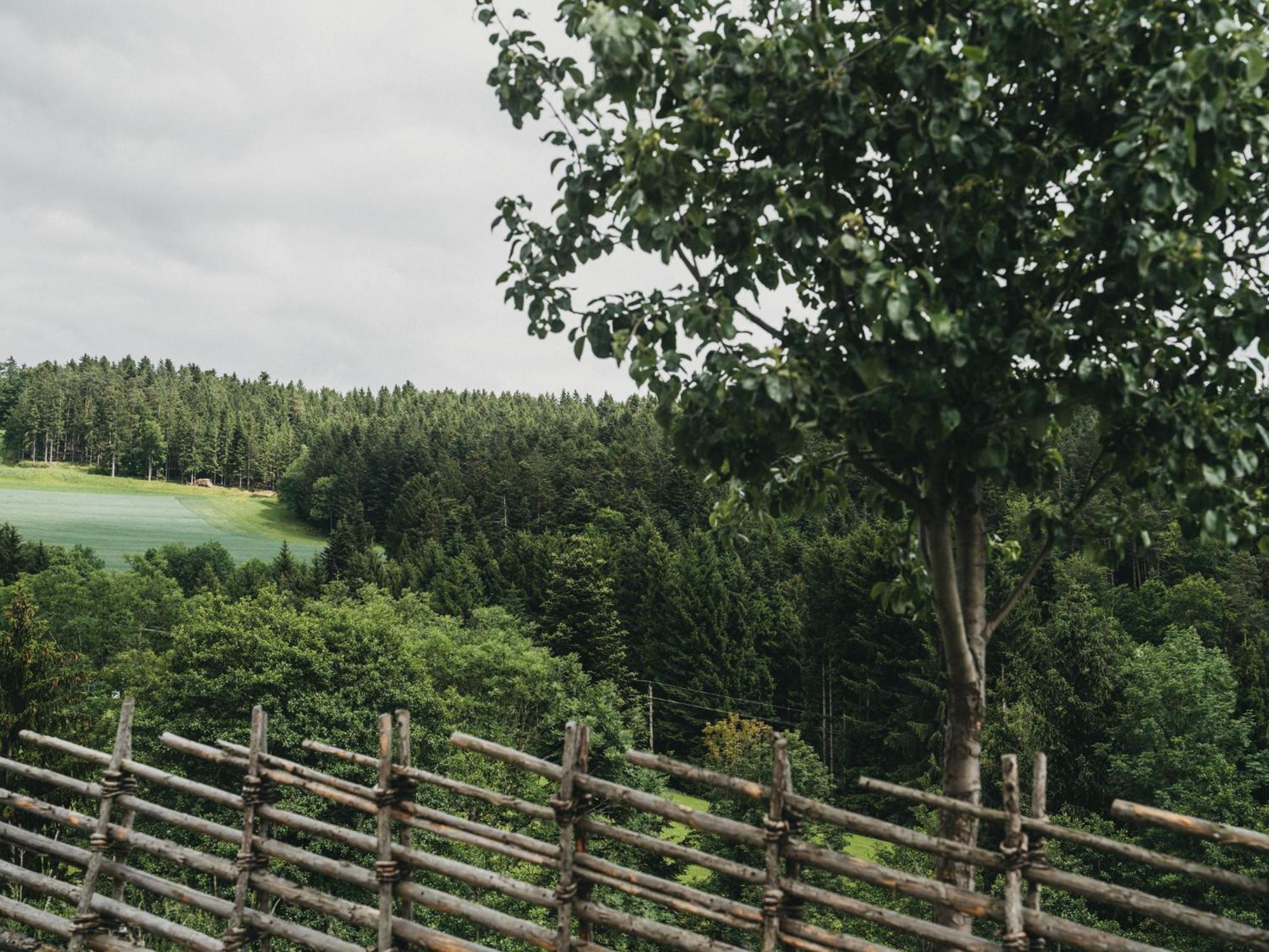 Hotel Muhr Pollauberg Экстерьер фото