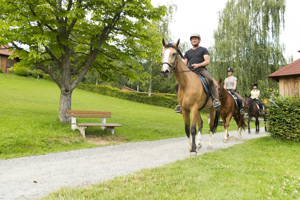 Hotel Muhr Pollauberg Экстерьер фото
